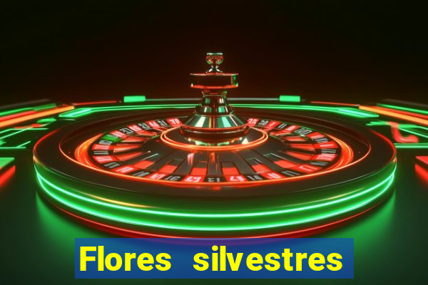 Flores silvestres brasileiras 25